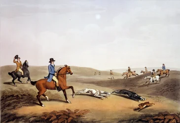 Jaktscen i England. 1800-talsgravyr. Gien, jaktmuseum
