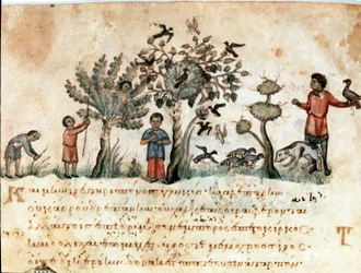 Jaktscen med hökar och samling av frukter Miniatyr tagen från jaktmjölkningen "" The Cynegetics"" av Oppian (Oppian eller Oppianus) från Syrien (3:e århundradet e.Kr.) tillägnad Caracalla. 1000-talets Venedig. Biblioteca Marciana