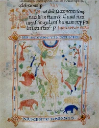 Upplyst sida med får och herdar, en del av Codex of Varmondo, C.1000