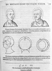 Bild av fysionomi från "Collectio Operum" av Robert Fludd (Robertus de Waves). London 1617