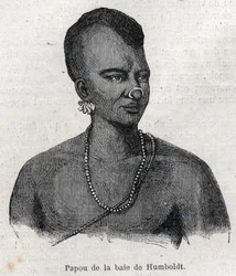 Ursprungsbefolkning i Nya Guinee (Nya Guinee): Papua i Humboldt Bay. Gravyr i "" L