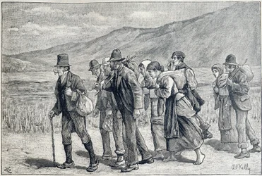 Irland: säsongsarbetare för skörd