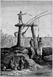 Bevattning i Egypten: chadoufs (eller shadoufs) på Nilens stränder. Gravyr i "" Le Monde Illustré"" nr 1313 av 27 maj 1882.