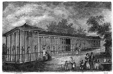 Jardin des Plantes i Paris 1861: falkenjakt.