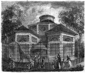 Jardin des Plantes i Paris 1861: rotunda av elefanter och giraffer.
