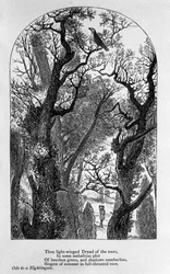 John Keats: Ode till en näktergal