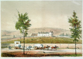 Le clos Vougeot, vingård i Cote d