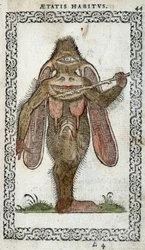 Cyclopes - i "" Habits and Effigies"" av Jean Sluperius