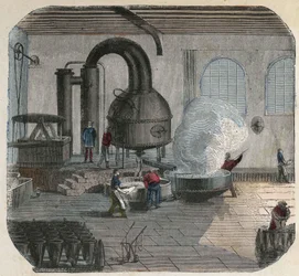 Tillverkning av socker i en fabrik. 1800-talsillustration. Bianchetti samling