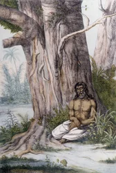 Meditation vid foten av ett träd, Indien.