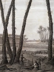 Memphis, utsikt över ruinerna (vetenskapsmän och arbetande konstnärer) - i "" Beskrivning av Egypten", Imperial Editions