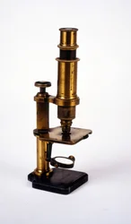 Mikroskop. 1800-talet