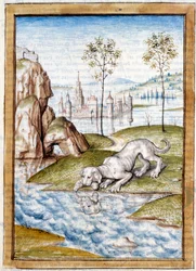 Miniatyrdjur från en tysk översättning av fablerna om "" Kalila (Calila) och Dimna"" av Bidpai. Chantilly från 1400-talet, Musee Conde