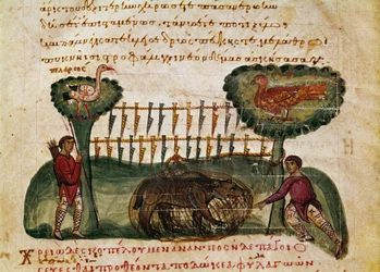 Miniatyr björnjaktsscen från jakten ""The Cynegetics"" av Oppian (Oppian eller Oppianus) i Syrien (3:e århundradet e.Kr.) tillägnad Caracalla. 1000-talets Venedig. Biblioteca Marciana
