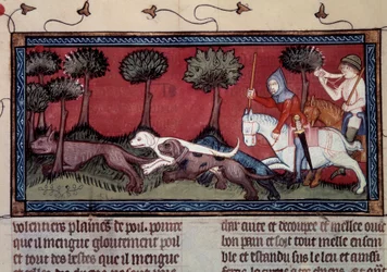 Miniatyrrävjakt från manuskript fr. 1297 "" bok av kung Modus och drottning Ratio" av Henri de Ferrieres (1300-talet)