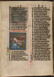 Miniatyr av Narcissus som beundrar sin reflektion i en fontän, från "Le Roman de la Rose"