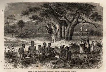 Musiker som spelar marimba (en blandning av balafon och precolombianska instrument) på stranden av floden Zambese. Gravyr för att illustrera Dr. Livingstones första resor till södra Afrika från 1840 till 1856, i "Le tour du monde, nouveau journal des voyag