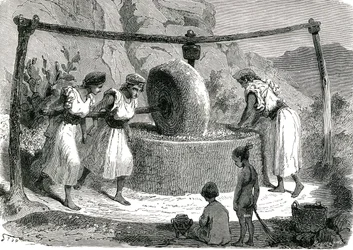 Olivkvarn i Algeriet 1885