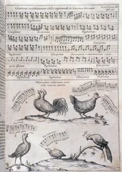 Sida från Musurgia (1650)
