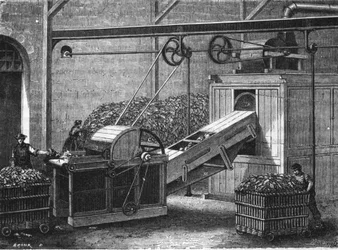 Papperstillverkning på 1800-talet.