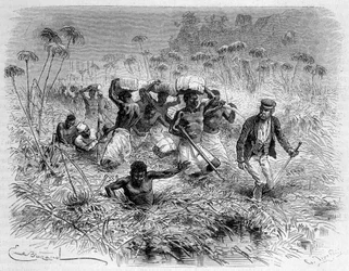 Passage av Chisera av Livingstone och dess bärare - "" Livingstones sista resa 1866-1873"" i "" Jorden runt"", 2:a sem. 1875