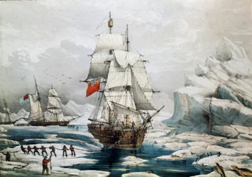 Polarexpedition i Arktis: engelska och amerikanska fartyg fångade i is (tryck från 1800-talet)