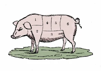 Fläsksnittar.