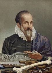 Porträtt av Ambroise Paré (1509-1590), fransk kirurg. från "Science and its Men" av Louis Figuier. Barcelona 1881