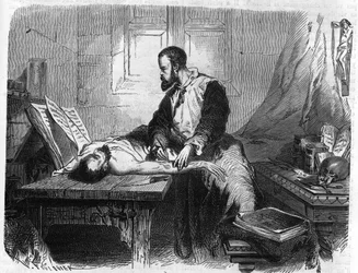 Porträtt av André Vésale (1514-1564), holländsk anatom (på latin: Andrea Vesalius, holländska: Andries Van Wesel). Gravyr från 1866.
