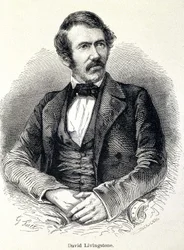 Porträtt av David Livingstone, skotsk missionär (1813-1873)
