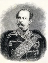 Porträtt av Fredrik Karl av Preussen (1828 - 1885), brorson till Vilhelm I