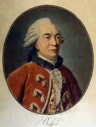 Porträtt av Georges Louis Leclerc, greve av Buffon (1707 - 1788), fransk naturforskare och författare.