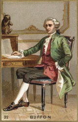 Porträtt av Georges Louis Leclerc, greve av Buffon (1707 - 1788), fransk naturforskare och författare. Kromolitografi 1800-talet.