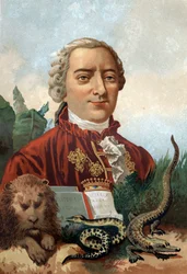 Porträtt av Georges Louis Leclerc, greve av Buffon (1707 - 1788), fransk naturforskare och författare. Kromolitografi 1800-talet. efter "Science and its Men"" av Louis Figuier. Barcelona 1881