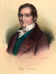 Porträtt av Louis-Joseph Gay-Lussac (Louis Joseph Gay Lussac) (1778 - 1850), fransk kemist och fysiker. Gravyr av 1800-talet. Privat samling.