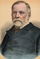 Porträtt av Louis Pasteur (1822-1895), fransk kemist och biolog.