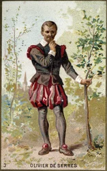 Porträtt av Olivier de Serres (1539 - 1619), fransk agronom. 1800-talets kromolitografi.