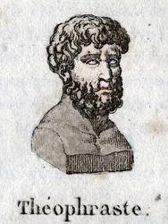 Porträtt av Theophraste (372 f.Kr.-287 f.Kr.), grekisk filosof.