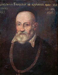 Porträtt av banbrytande anatom och kirurg Hieronymus Fabricius (målning