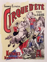 Affisch för Cirque d