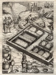 Att producera salt genom att förånga havsvatten i saltkärl. Från "" De re metallica"" av Georgius Agricola (Georg Bauer). (Basel 1556) - Saltproduktion: havsvatten som hälls i stora skålar avdunstar och lämnar saltdepån. Gravyr från "" De re metallica"" av