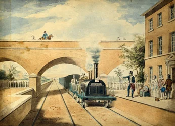 Kronhjort, ca 1850 (akvarell på papper)