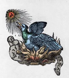 Framställning av en fågel Fenix, en legendarisk fågel som återföds ur sin aska. Gravyr från 1800-talet
