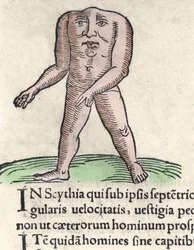 Representation av en medlem av Blemmyi-stammen i Nubien, beskriver utan huvud, utan hals och ansikte på Plinius bålen den tidigare Gravyr från "Prodigiorum ac ostentorum chronicon" av Conrad Lycosthenes (1518-1561). 1557.