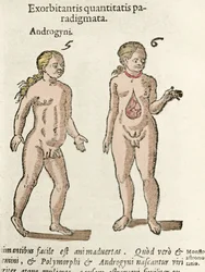 Framställning av en androgyn och en hermafrodit. Plansch ur De natura divinis caracteris av Cornelio Gemma, 1575