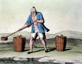 Risodling i Kina. 1800-talstryck.