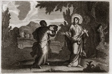Royaumont Bibeln, Nya testamentet: Jesus Kristus i öknen. Jesus drivs ut i öknen. Han unga fyrtio dagar och fyrtio nätter. Han frestas av demonen som uppmanar honom att förvandla stenar till bröd. Illustration från 1811.