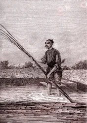 Rostning av våt bambu, papperstillverkning i Kina (3:e århundradet f.Kr.) (gravyr)