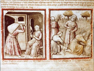 Ruth och Noemi (Naomi, Noemie) arbetar i Boaz (Booz) fält Miniatyr från codex 212 (eller padovano codex eller Bible of Padua) 1390-1400 Rovigo, Accademia dei Concordi
