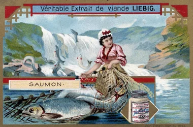 Laxfiske - 1800-talets chromo.